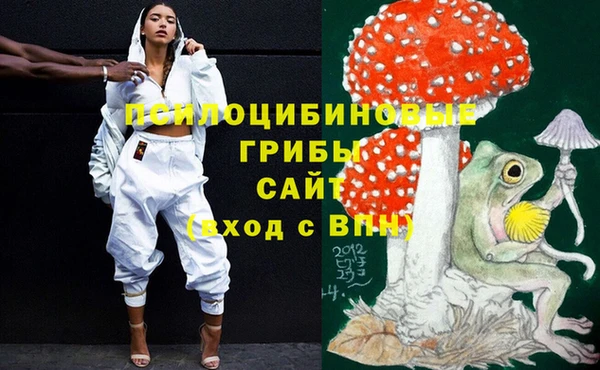 стафф Козельск