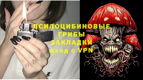 хмурый Козловка
