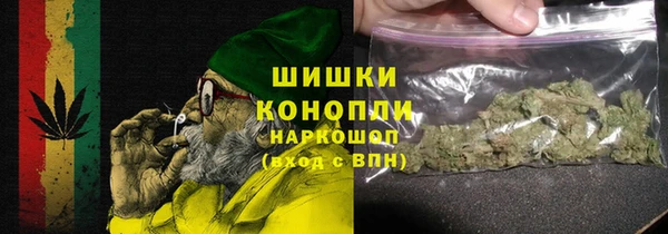 хмурый Козловка