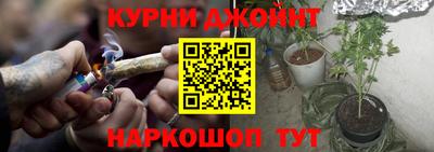 амф Гусь-Хрустальный
