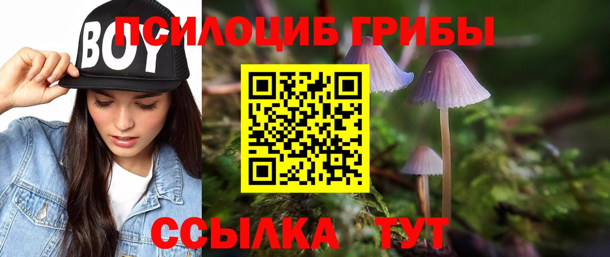 Псилоцибиновые грибы Magic Shrooms Бийск