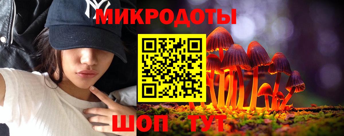 Бийск  Псилоцибиновые грибы мухоморы  купить  цена  Вход с VPN 