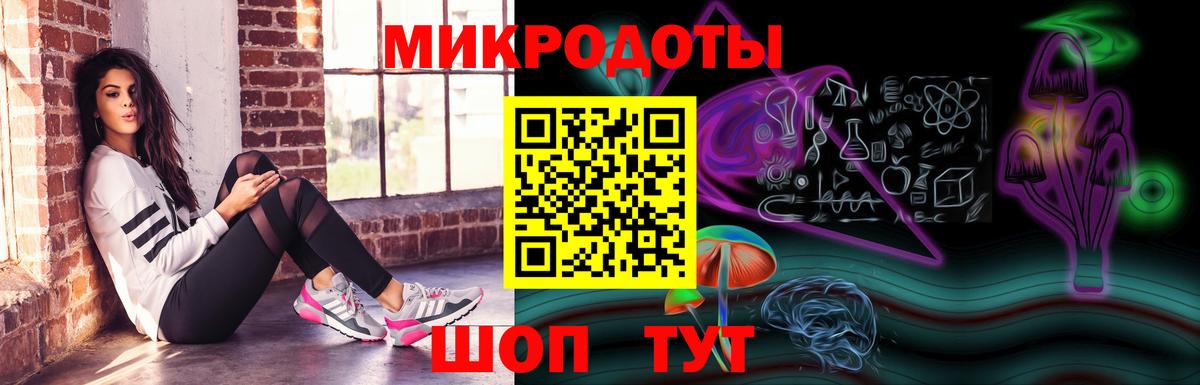 Псилоцибиновые грибы Psilocybe  Бийск 