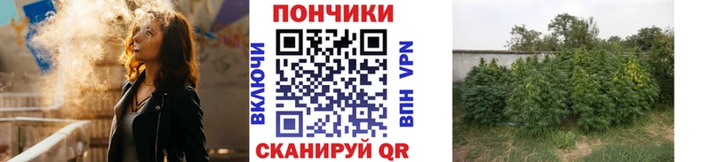 Каннабис SATIVA & INDICA  где можно купить   маркетплейс наркотические препараты  Бийск 