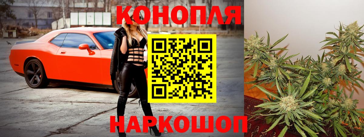 Бошки марихуана гибрид  Марихуана сатива  Каннабис планчик  Вход с VPN  Бийск 